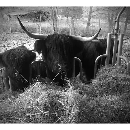 Auszeit Auf Dem Kulturgut Hirtscheid Alpenrod