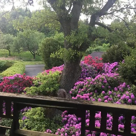 Auszeit Auf Dem Kulturgut Hirtscheid