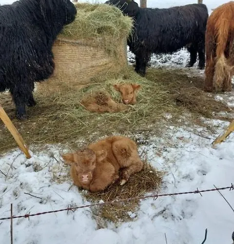 Auszeit Auf Dem Kulturgut Hirtscheid Alpenrod