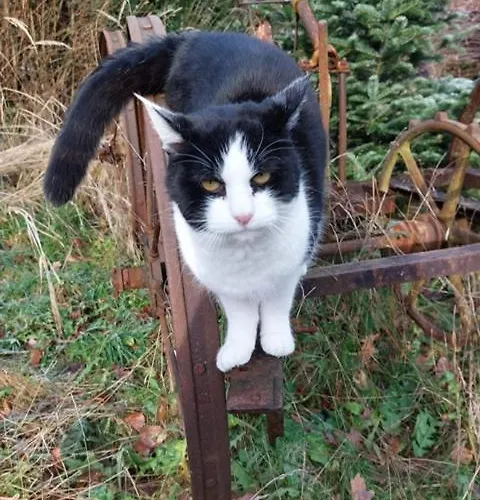 Auszeit Auf Dem Kulturgut Hirtscheid