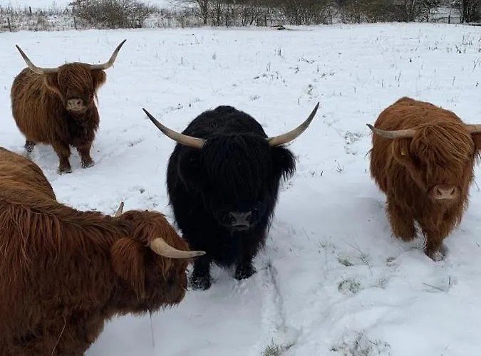 Auszeit Auf Dem Kulturgut Hirtscheid דירה