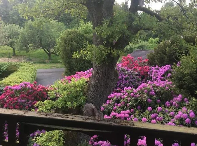 Auszeit Auf Dem Kulturgut Hirtscheid